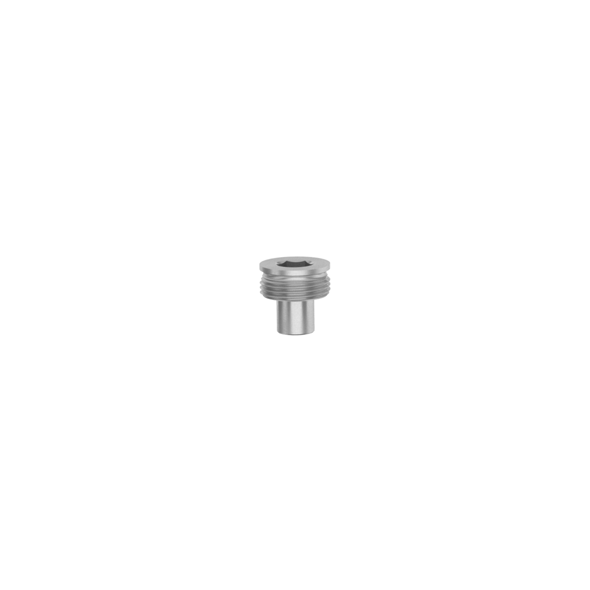 pressure screw with hexagon socket pressure screw with hexagon socket