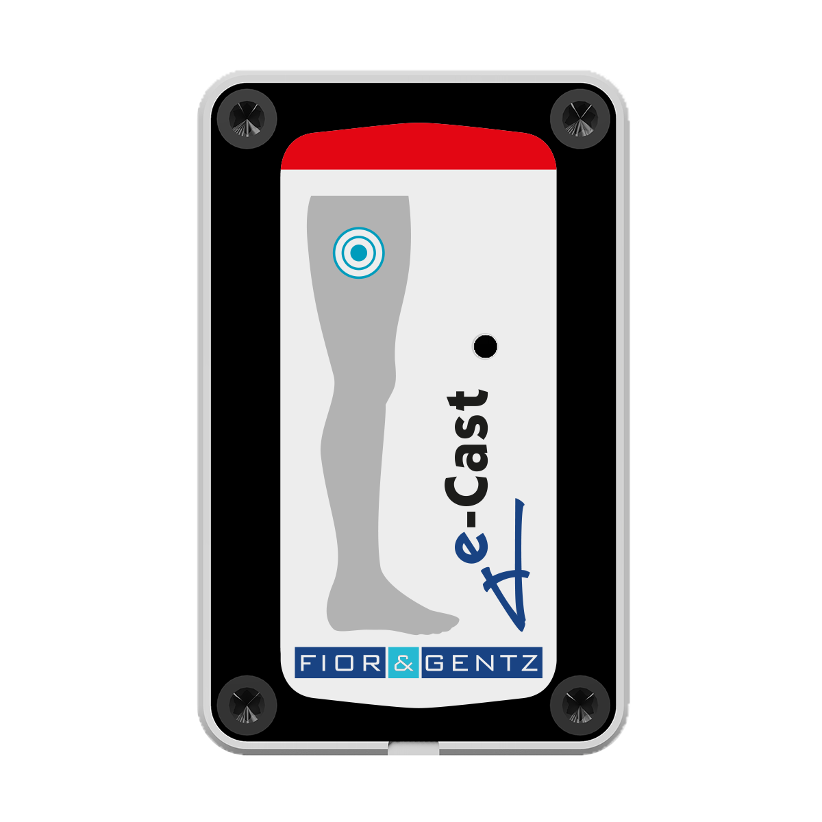 e-Cast sensor e-Cast sensor