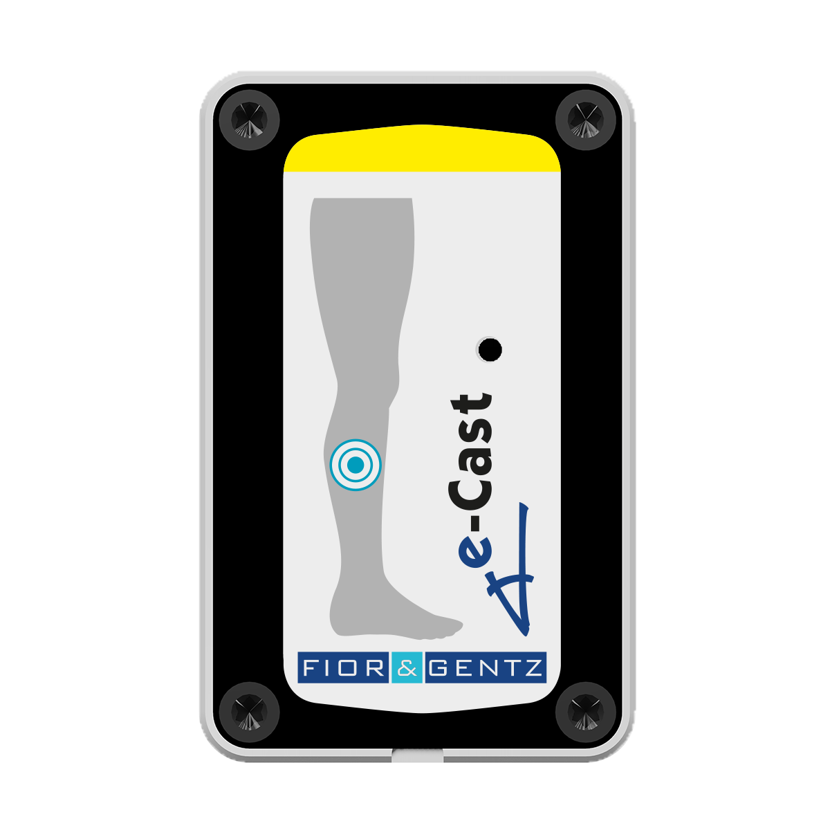 e-Cast sensor e-Cast sensor