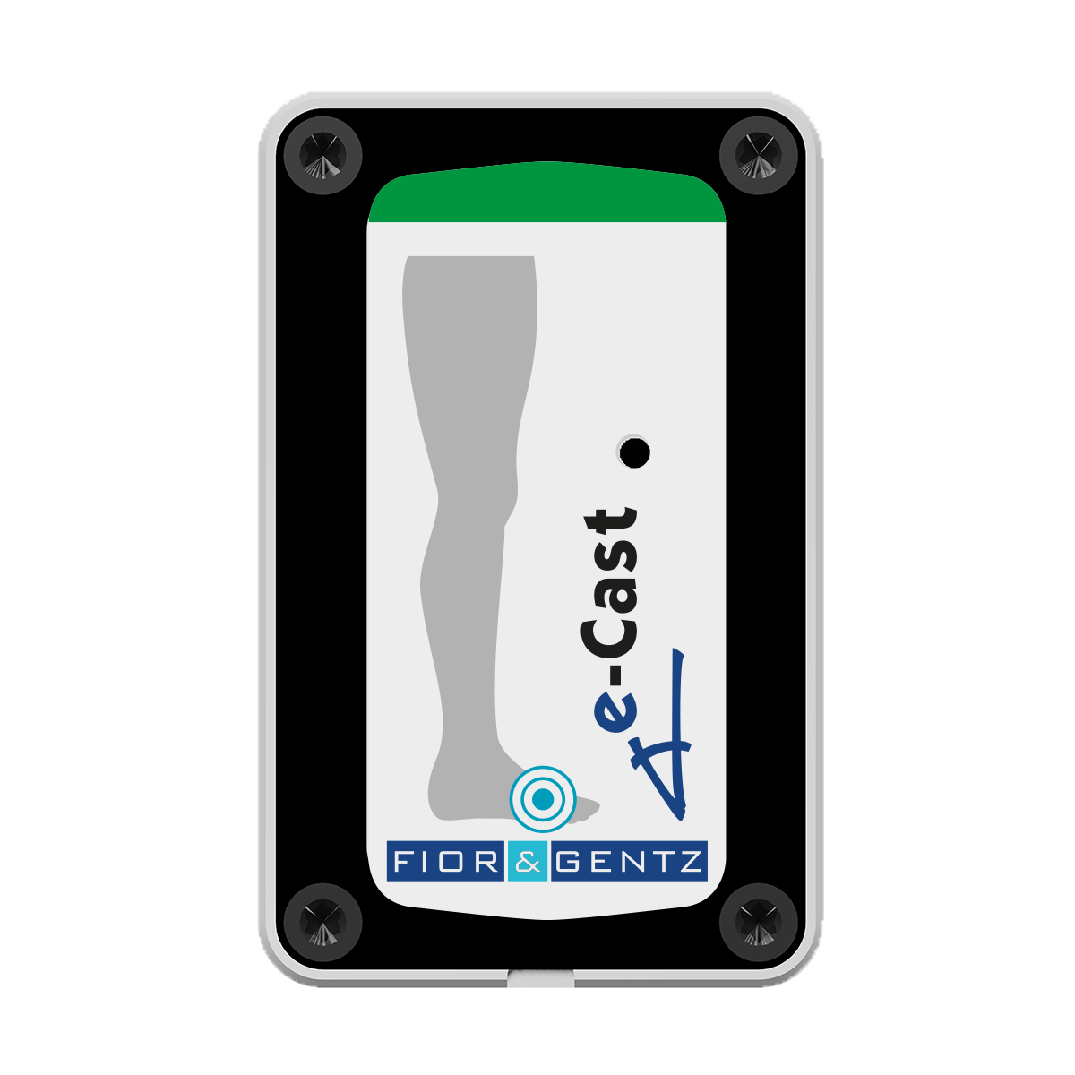 e-Cast sensor e-Cast sensor